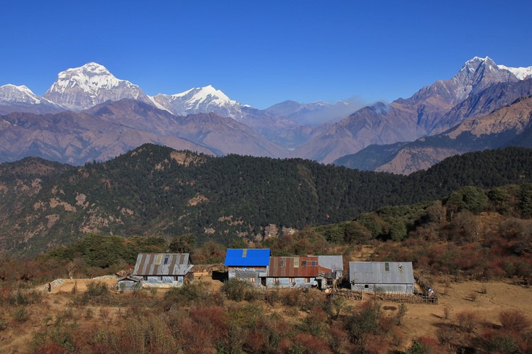 Annapurna community lodge trekking - Nepal